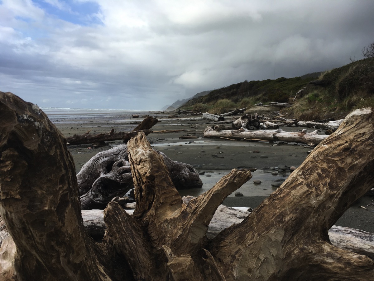 Alaska Trip Day 12: Sea Lions & “One Flew Over The Cuckoo’s
Nest” Shoot Location… 04/26/17