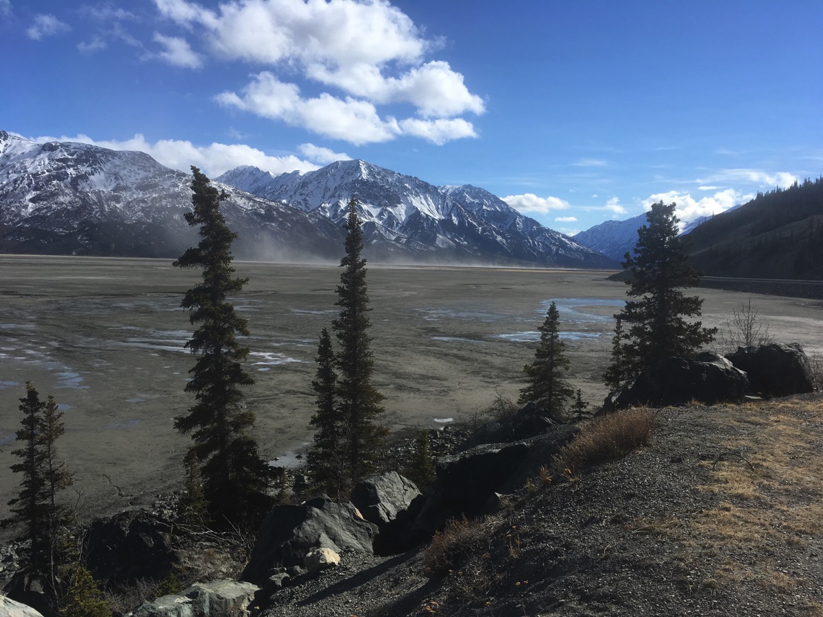 Alaska Trip Day 23: Dall Sheep, Moose and a Bear Sighting in the
Yukon… 05/08/17