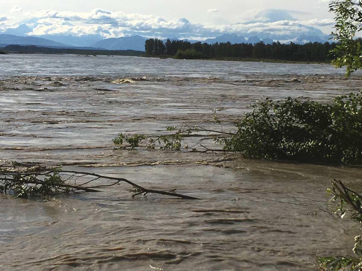 Flood Scare in Talkeetna Alaska… 06/24/17